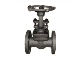 VAN CƯA THÉP RÈN A105 NỐI BÍCH ANSI CLASS 150 RF