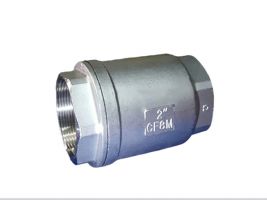 VAN 1 CHIỀU LÒ XO INOX304/316