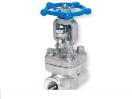 Van cổng A182 F316 Class 800 threaded NPT