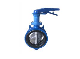 VAN BƯỚM KITZ PN10ZJUE