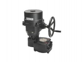 Electric Actuator FLOWINN - EOM 10~11~12