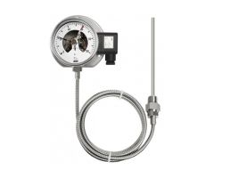 Đồng Hồ Nhiệt Độ Wise T521