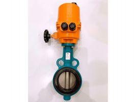 Van bướm jaki điều khiển điện FLOWINN