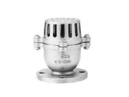 RỌ BƠM INOX 304 MẶT BÍCH
